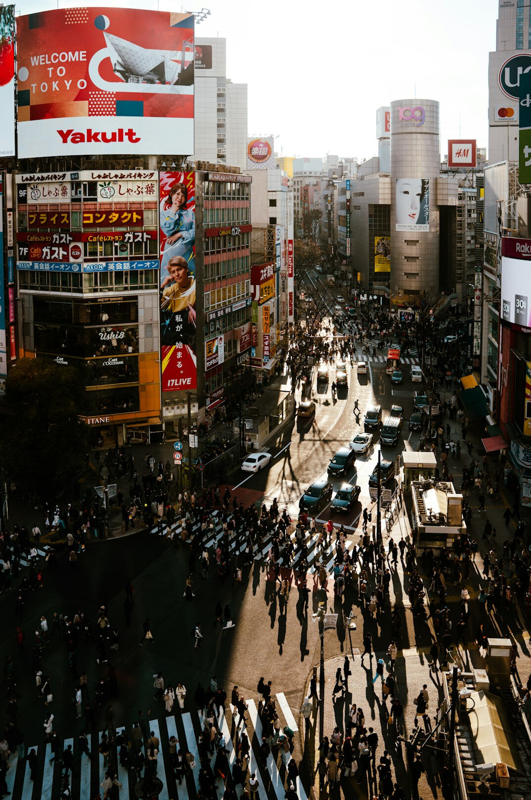 crowd in modern city